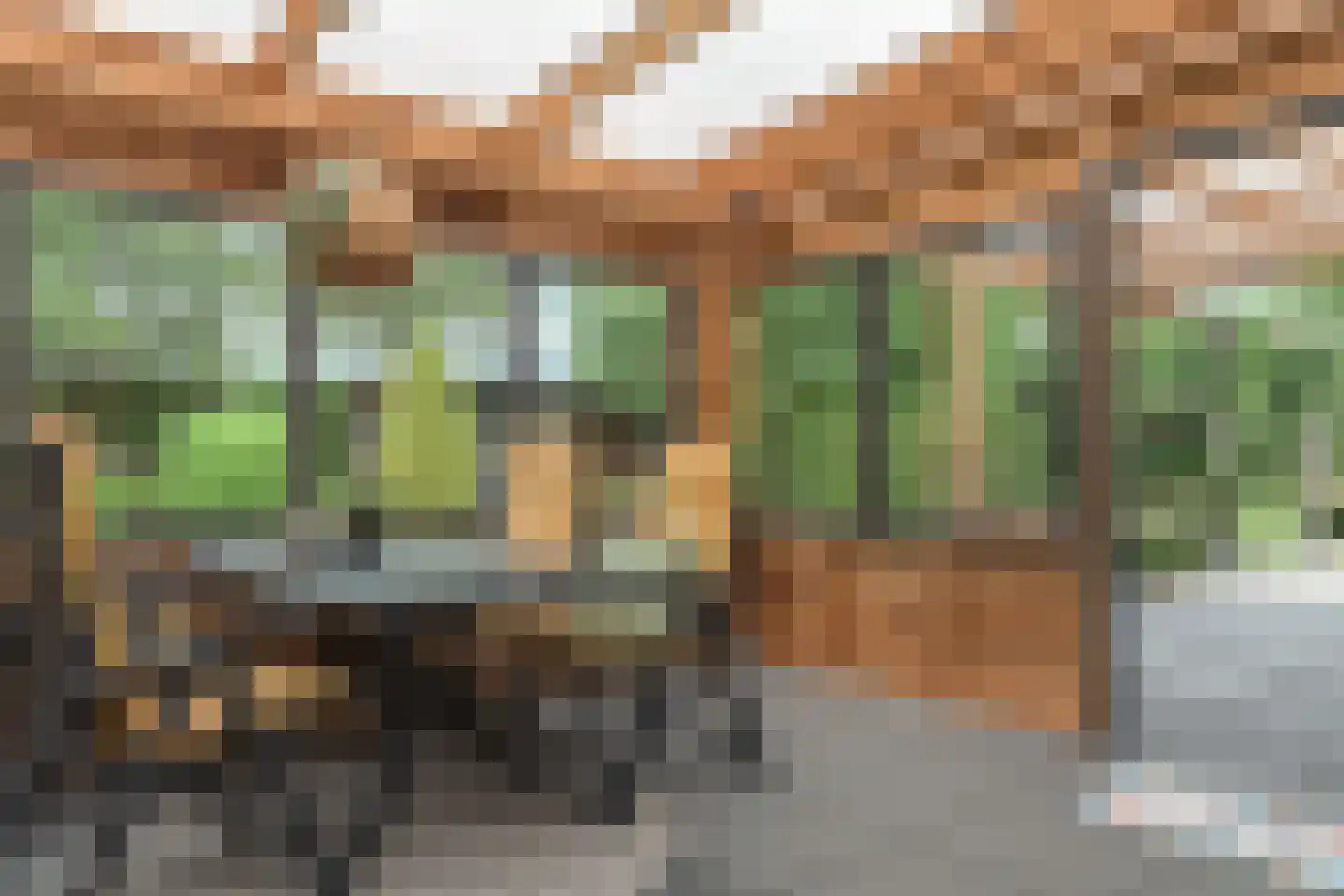 Frank en Vrijhof 22 Rohel thumbnail 7