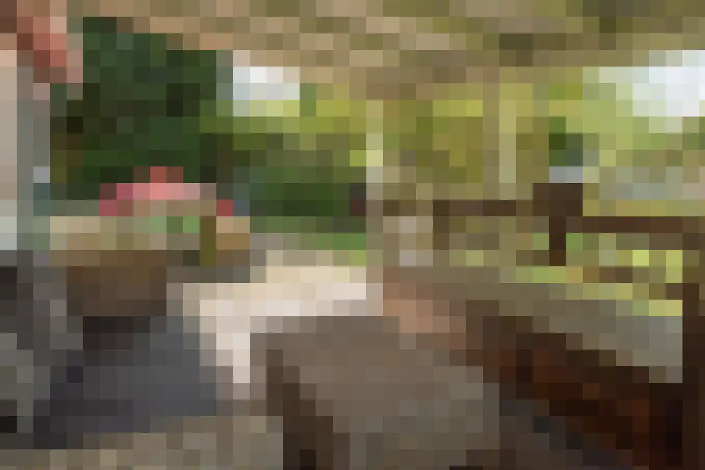 Frank en Vrijhof 26 Rohel thumbnail 10