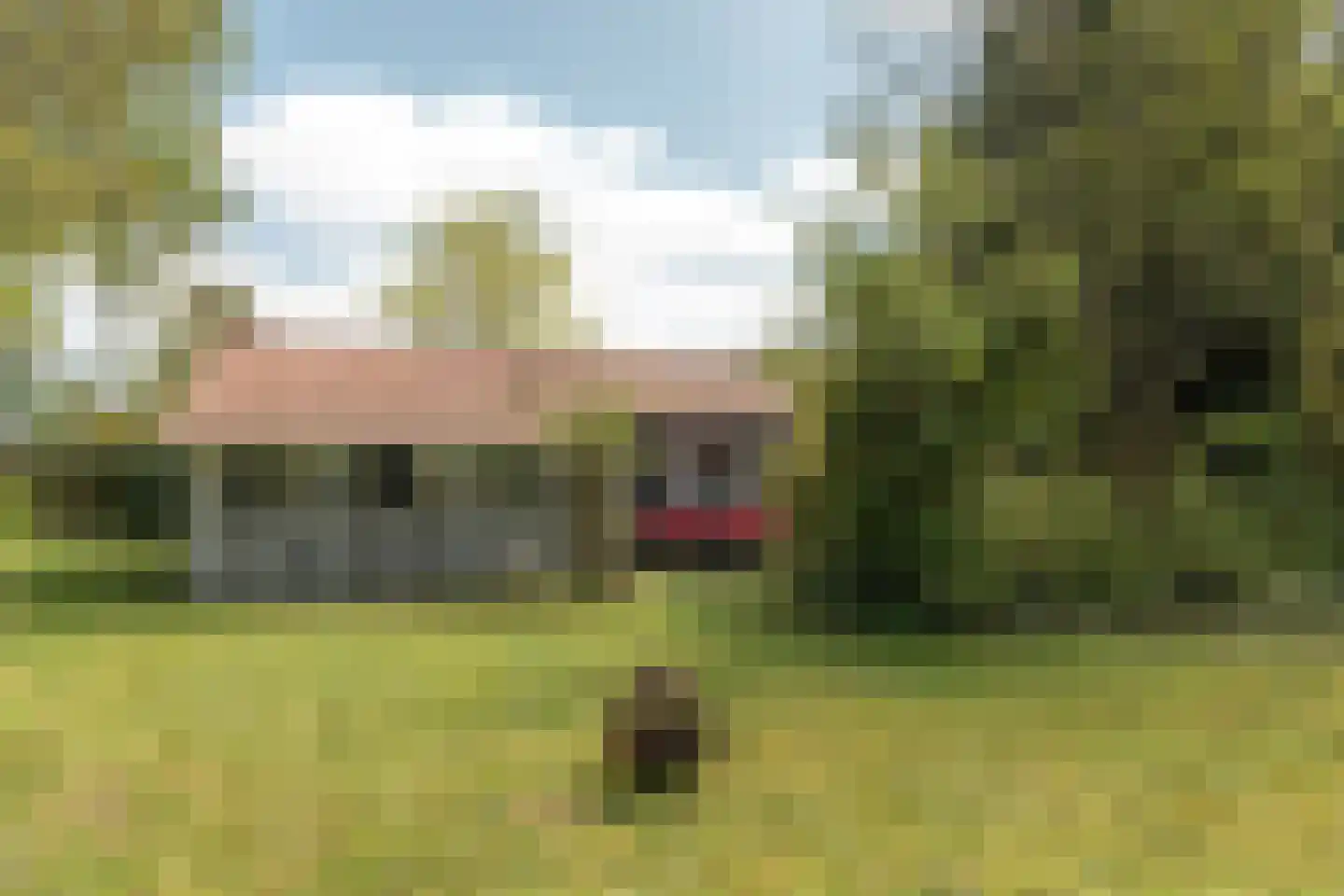 Frank en Vrijhof 26 Rohel thumbnail 6