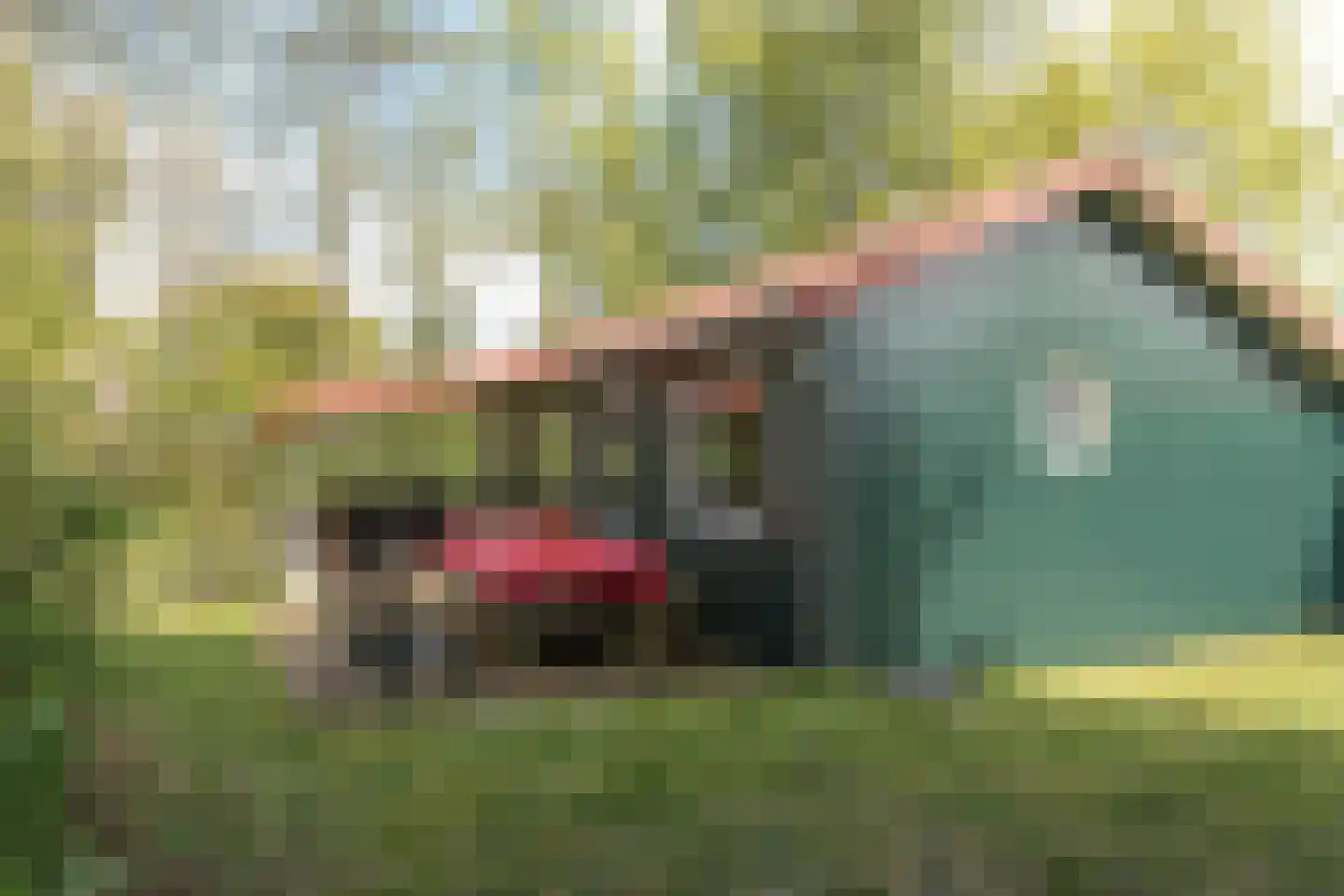 Frank en Vrijhof 26 Rohel thumbnail 7