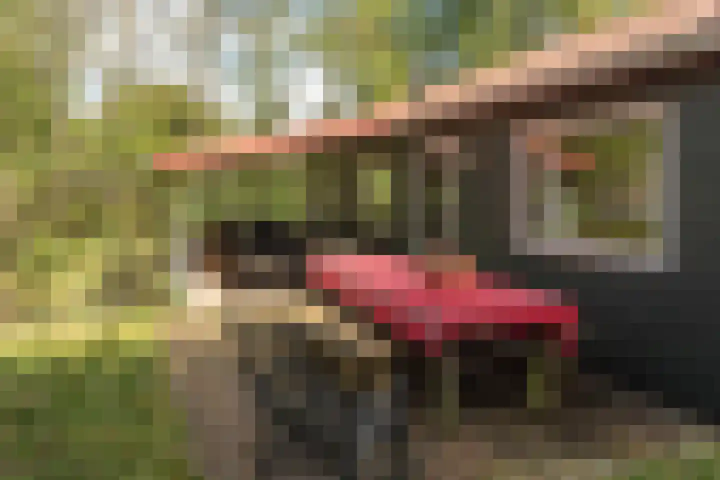 Frank en Vrijhof 26 Rohel thumbnail 8