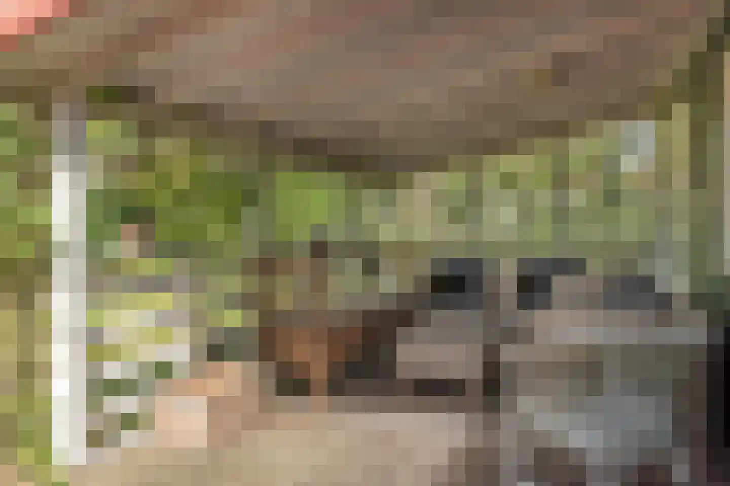 Frank en Vrijhof 26 Rohel thumbnail 9