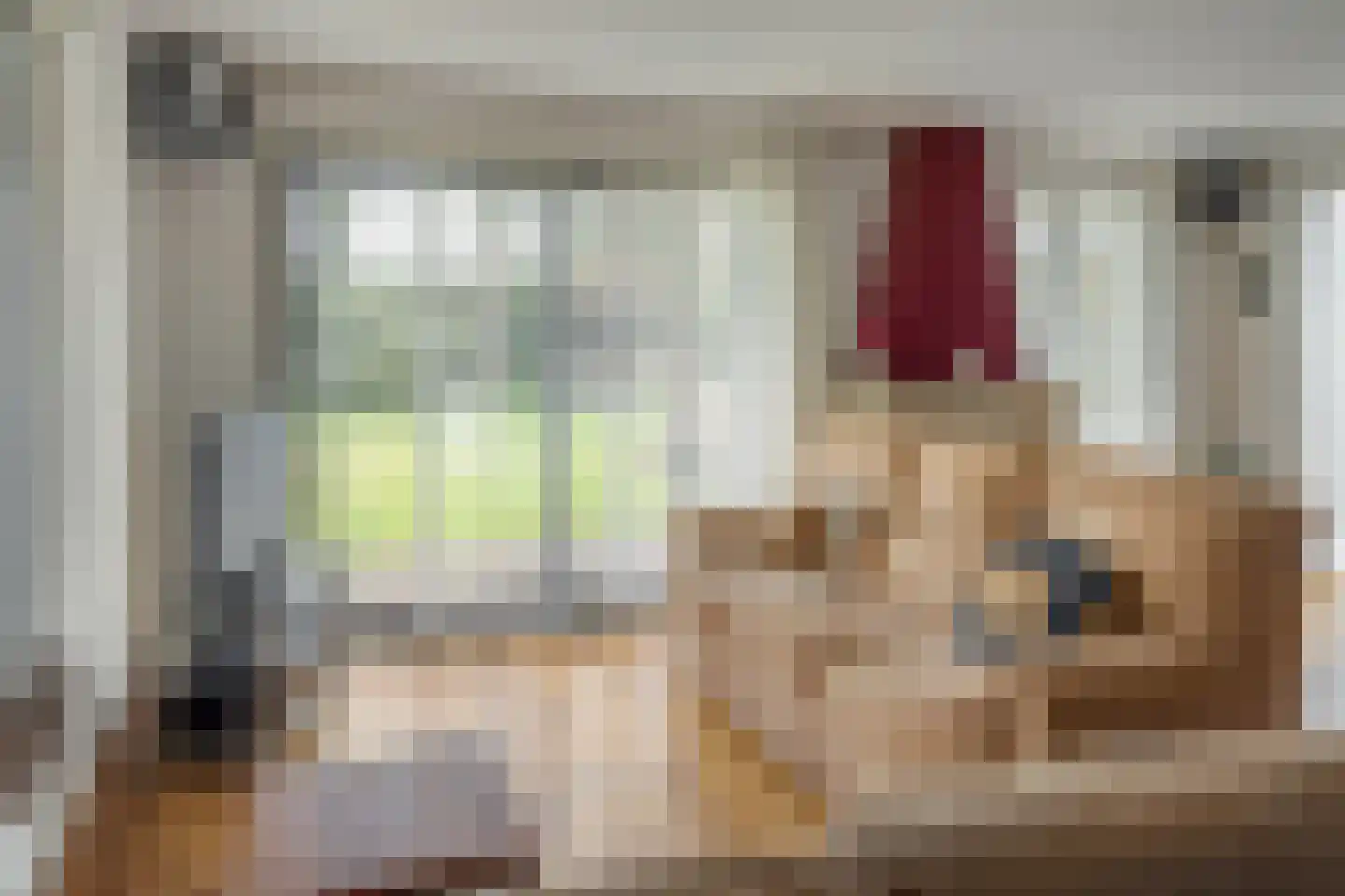 Frank en Vrijhof 32 Rohel thumbnail 10