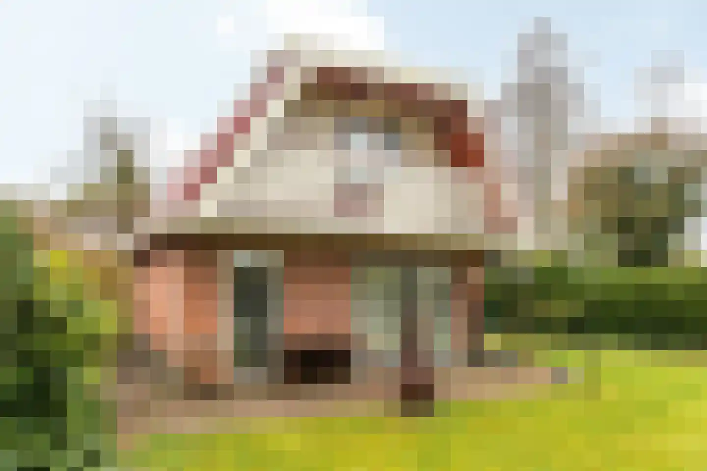 Frank en Vrijhof 32 Rohel thumbnail 21