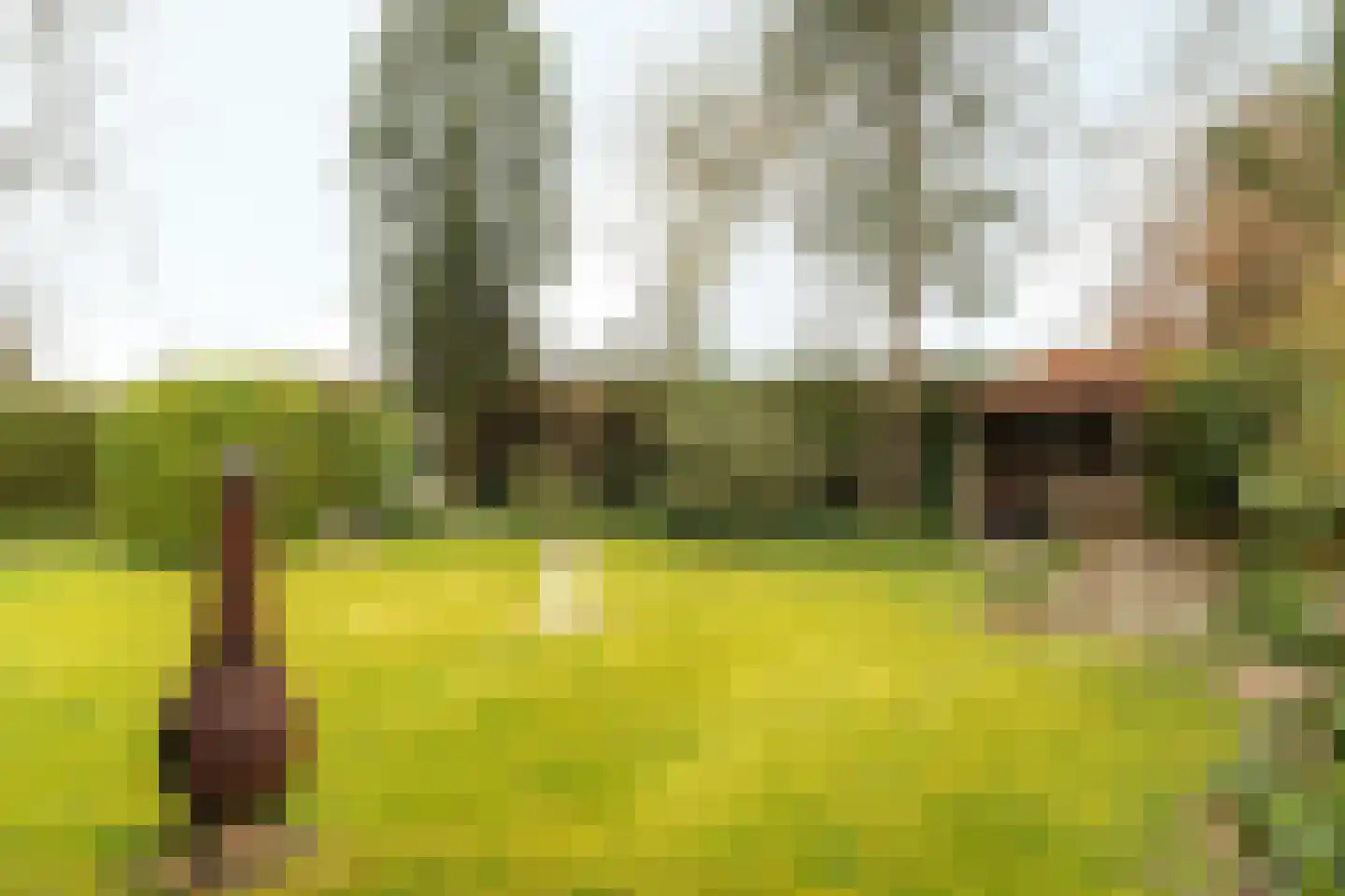 Frank en Vrijhof 32 Rohel thumbnail 22