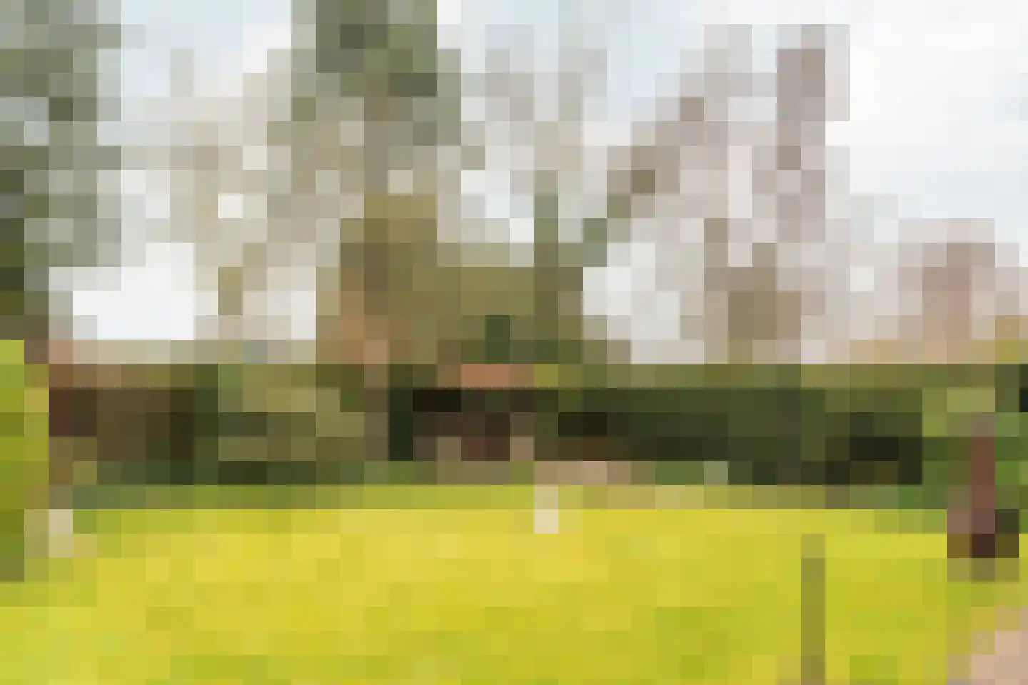 Frank en Vrijhof 32 Rohel thumbnail 23