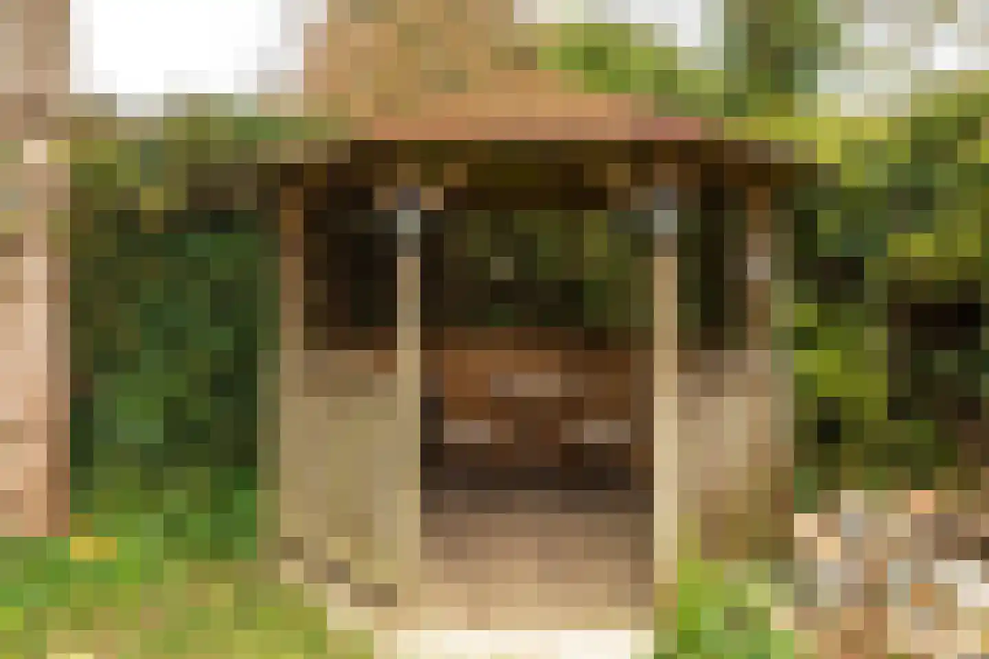 Frank en Vrijhof 32 Rohel thumbnail 24