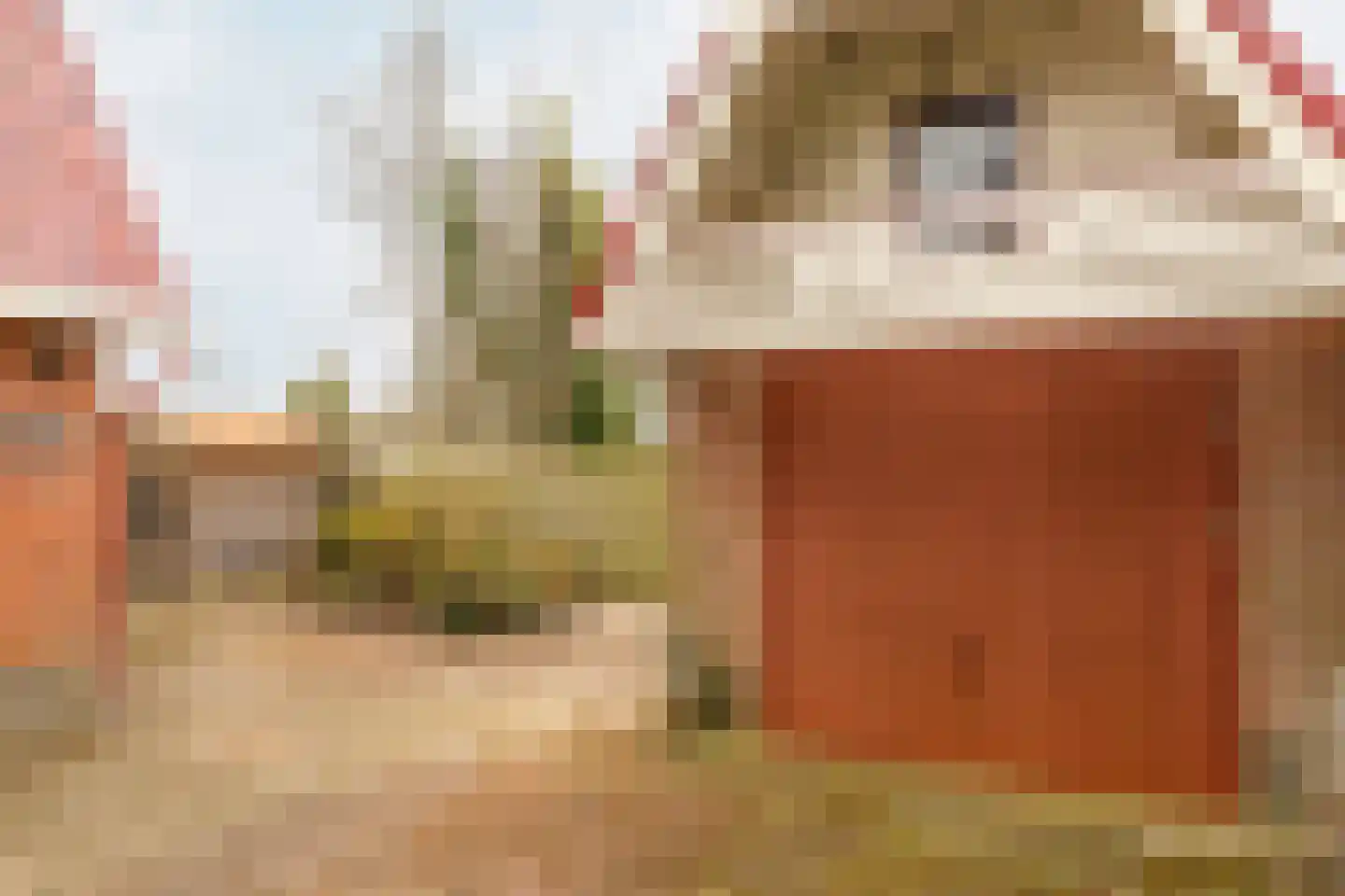 Frank en Vrijhof 32 Rohel thumbnail 28