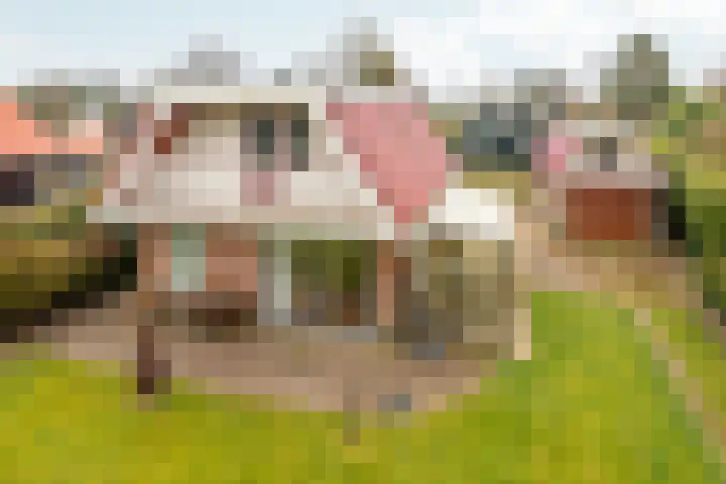 Frank en Vrijhof 32 Rohel thumbnail 30