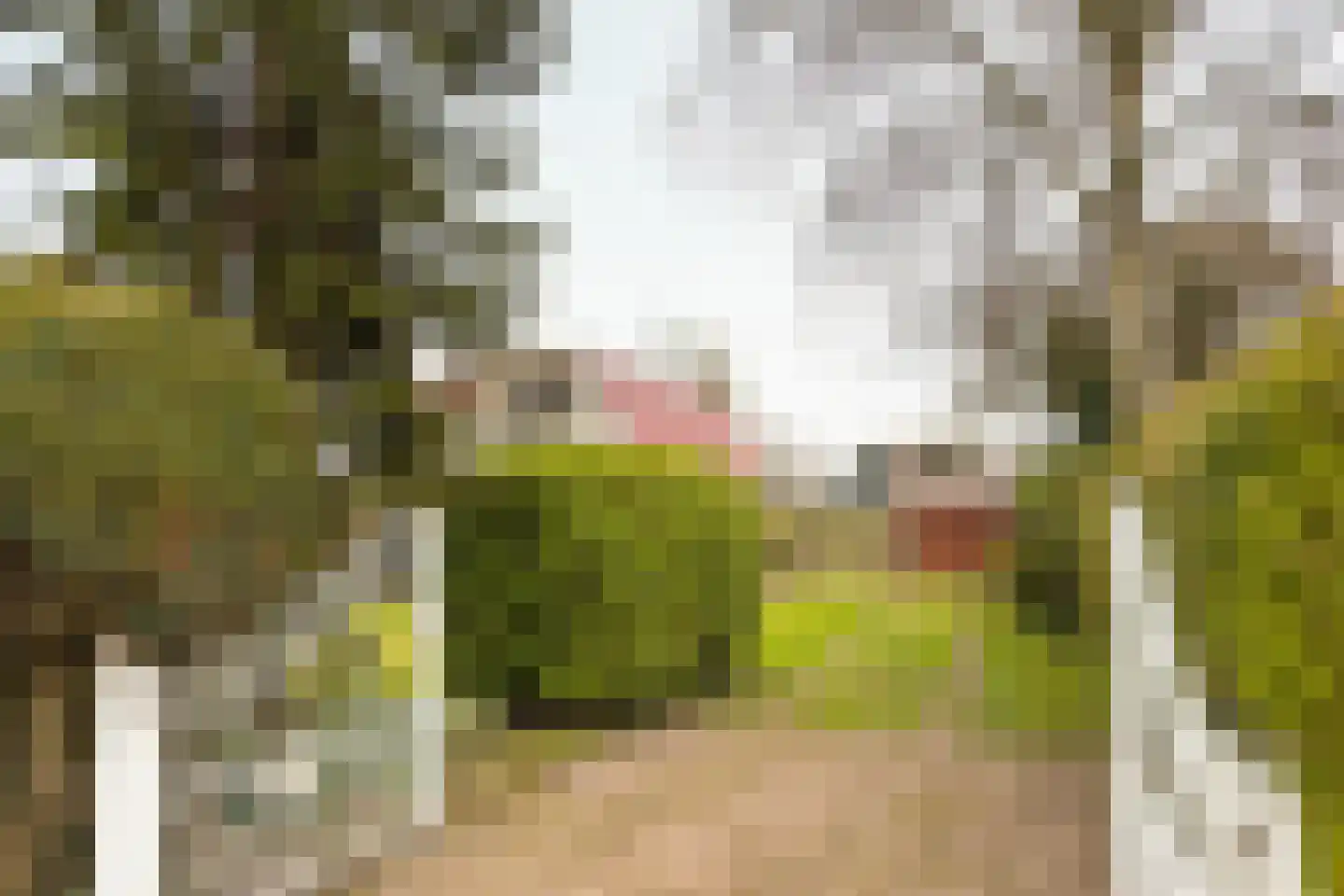 Frank en Vrijhof 32 Rohel thumbnail 6