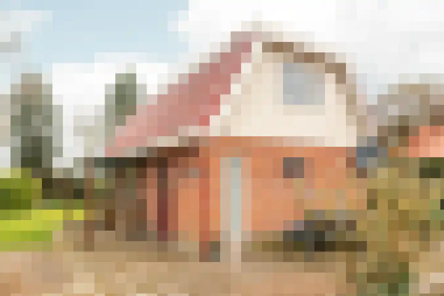 Frank en Vrijhof 32 Rohel thumbnail 7