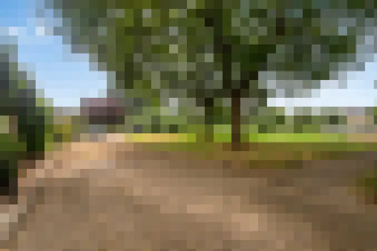 Frank Hoeckellaan 28 Barneveld thumbnail 38