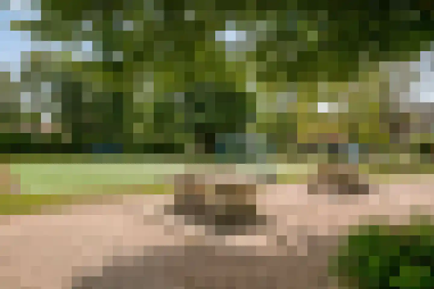 Frank Hoeckellaan 28 Barneveld thumbnail 40