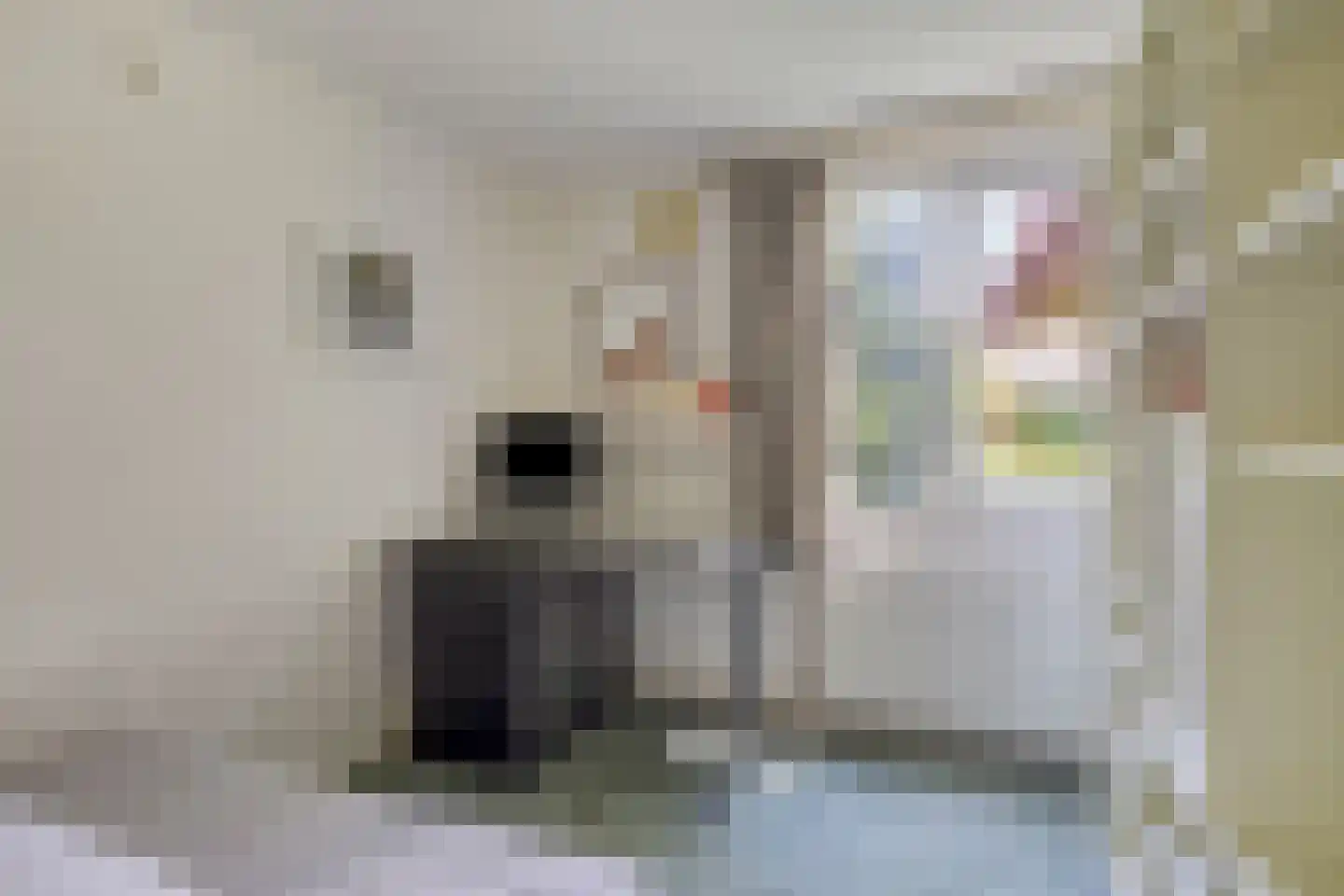 Frank Santmanstraat 15 Hengelo thumbnail 34