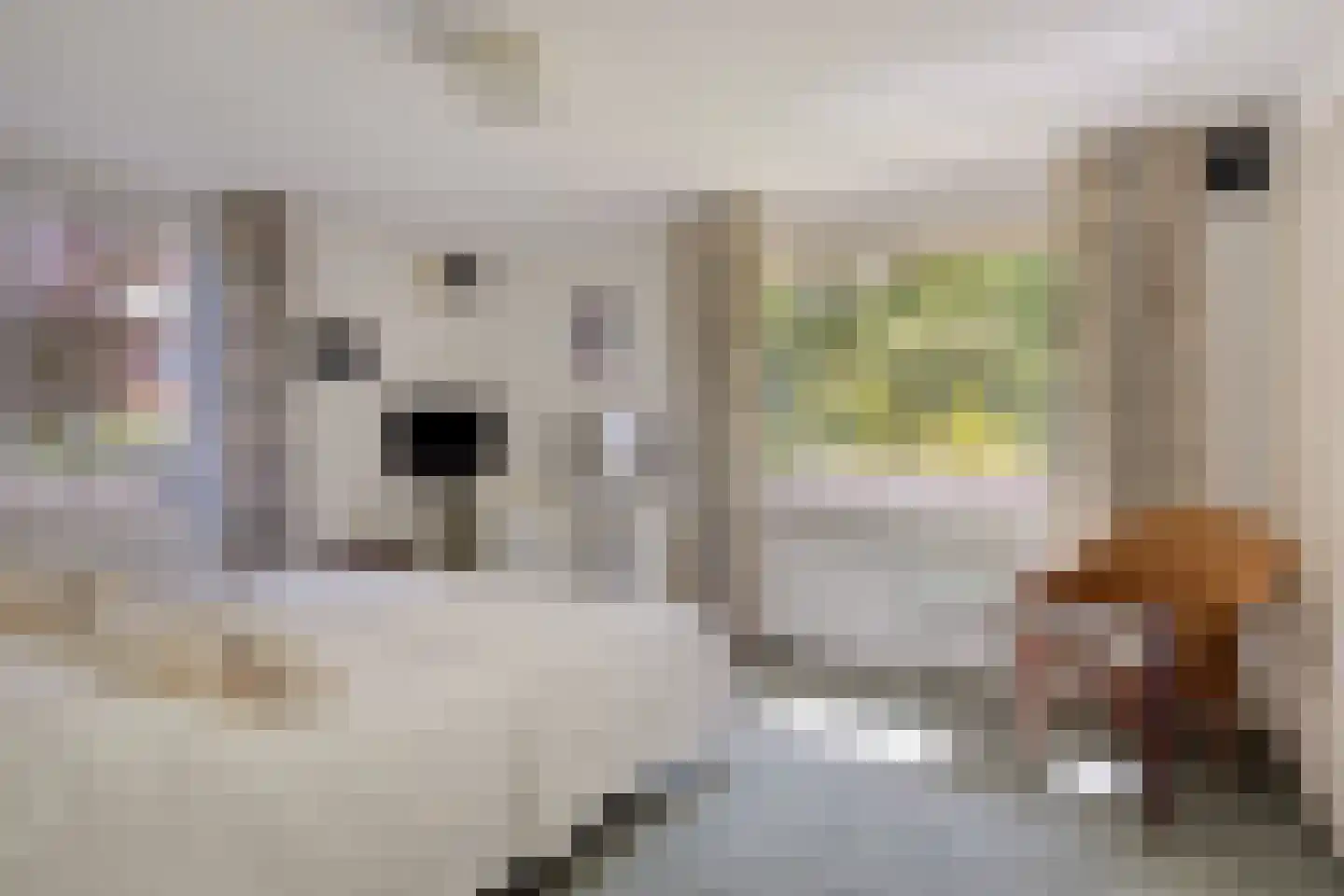 Frank Santmanstraat 15 Hengelo thumbnail 4