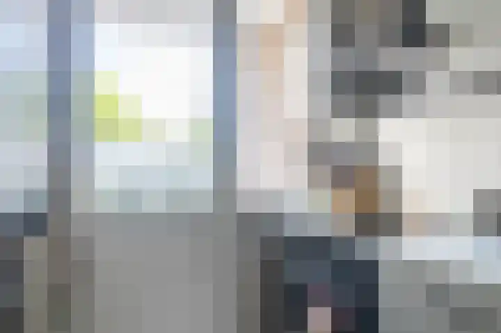 Frank Sinatraplein 20 Beverwijk thumbnail 13