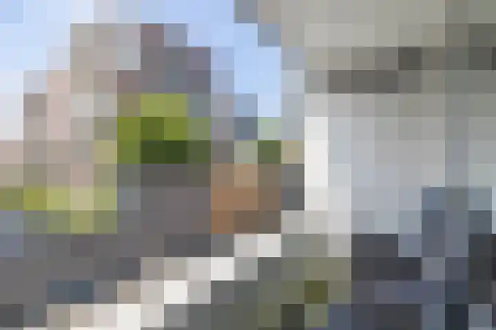 Frank Sinatraplein 20 Beverwijk thumbnail 19