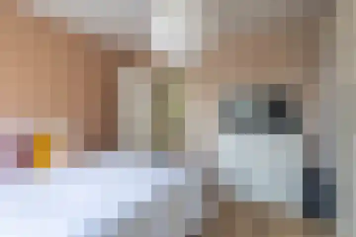 Frank Sinatraplein 20 Beverwijk thumbnail 22