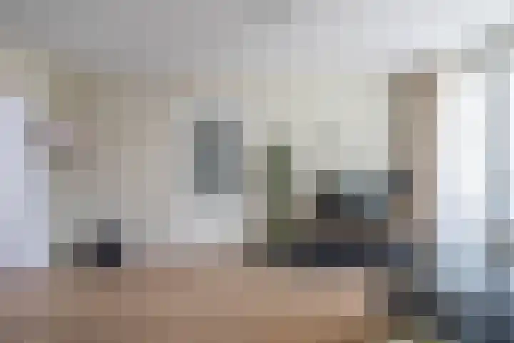 Frank Sinatraplein 20 Beverwijk thumbnail 25