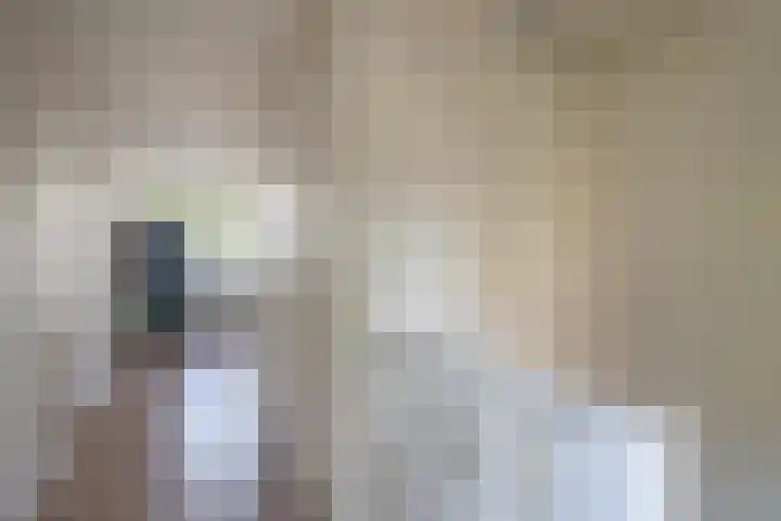 Frank Sinatraplein 20 Beverwijk thumbnail 26