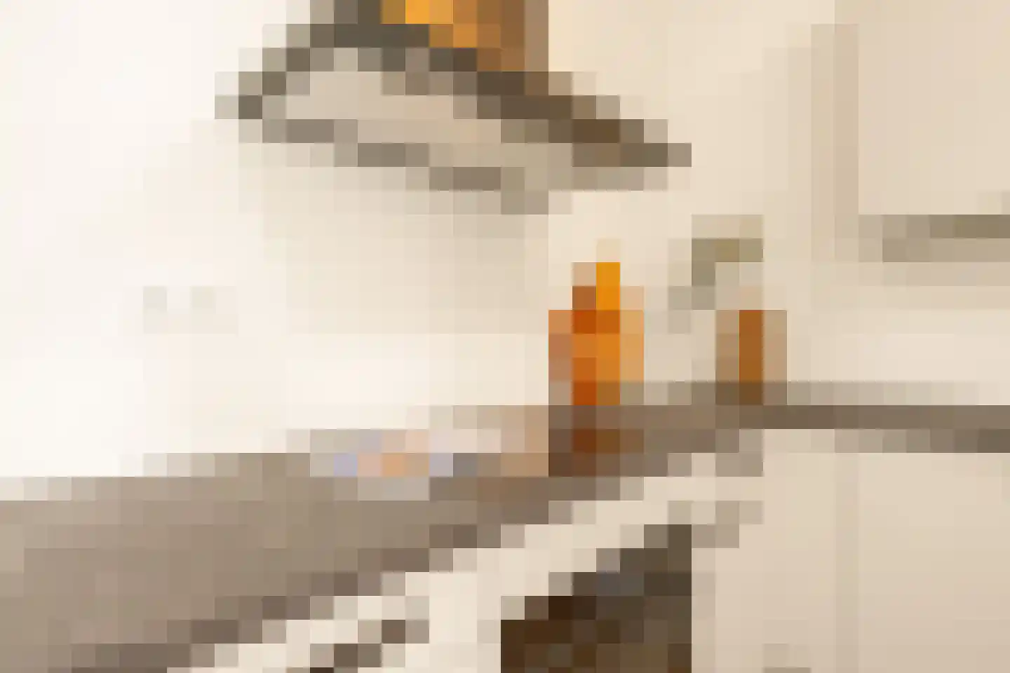 Frank Sinatraplein 85 A Beverwijk thumbnail 16