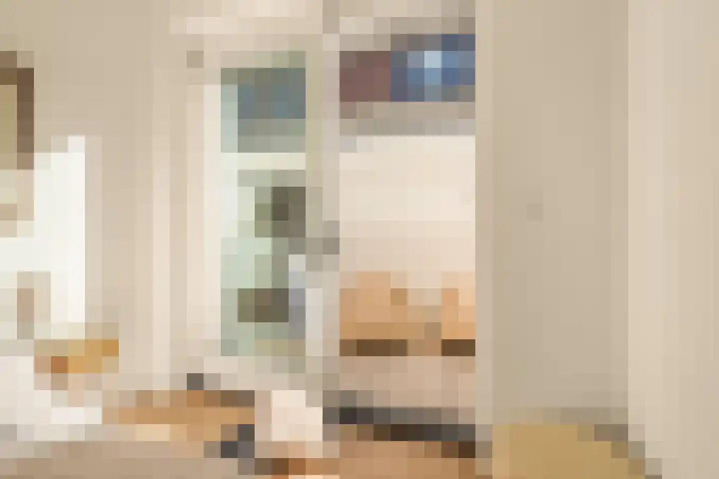 Frank Sinatraplein 85 A Beverwijk thumbnail 33