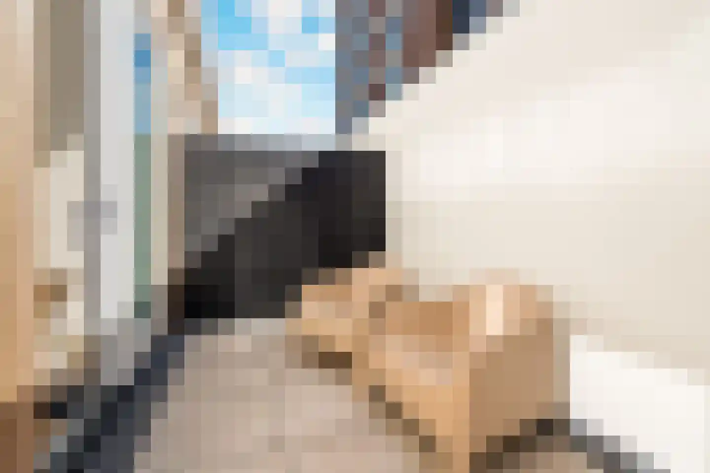 Frank Sinatraplein 85 A Beverwijk thumbnail 39