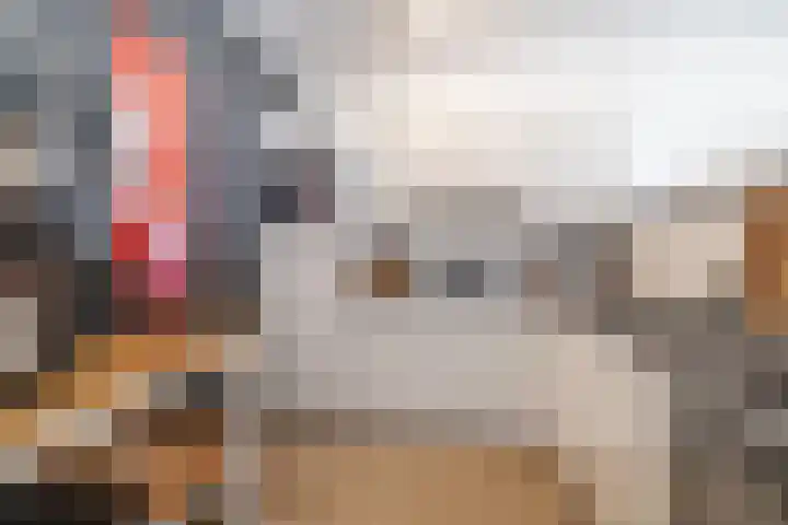 Frank Sinatrarode 3 Zoetermeer thumbnail 13