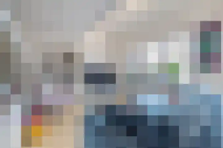Frank Sinatrarode 3 Zoetermeer thumbnail 15