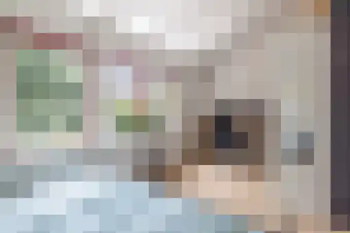 Frank Sinatrarode 3 Zoetermeer thumbnail 23