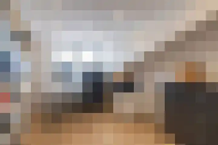 Frank Sinatrarode 3 Zoetermeer thumbnail 26