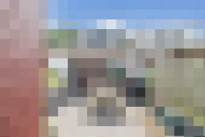 Frank Sinatrarode 3 Zoetermeer thumbnail 27