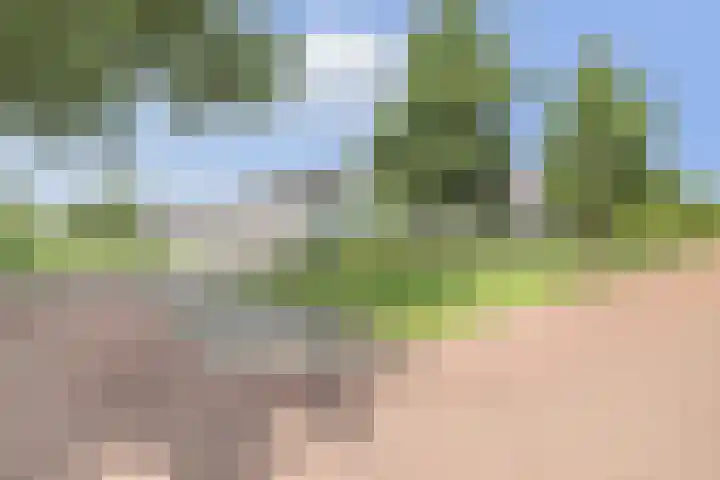 Frank Sinatrarode 3 Zoetermeer thumbnail 30
