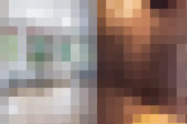 Frank Sinatrarode 3 Zoetermeer thumbnail 4
