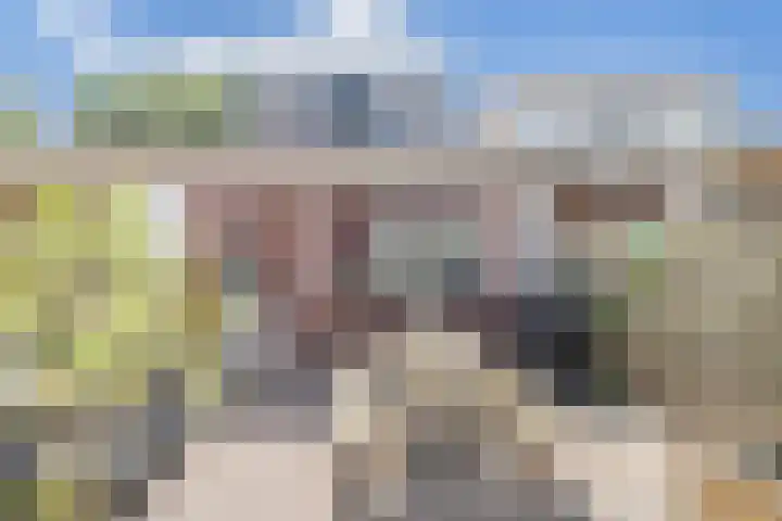 Frank Sinatrarode 3 Zoetermeer thumbnail 5