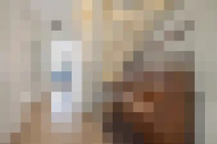 Frank Sinatrarode 3 Zoetermeer thumbnail 6