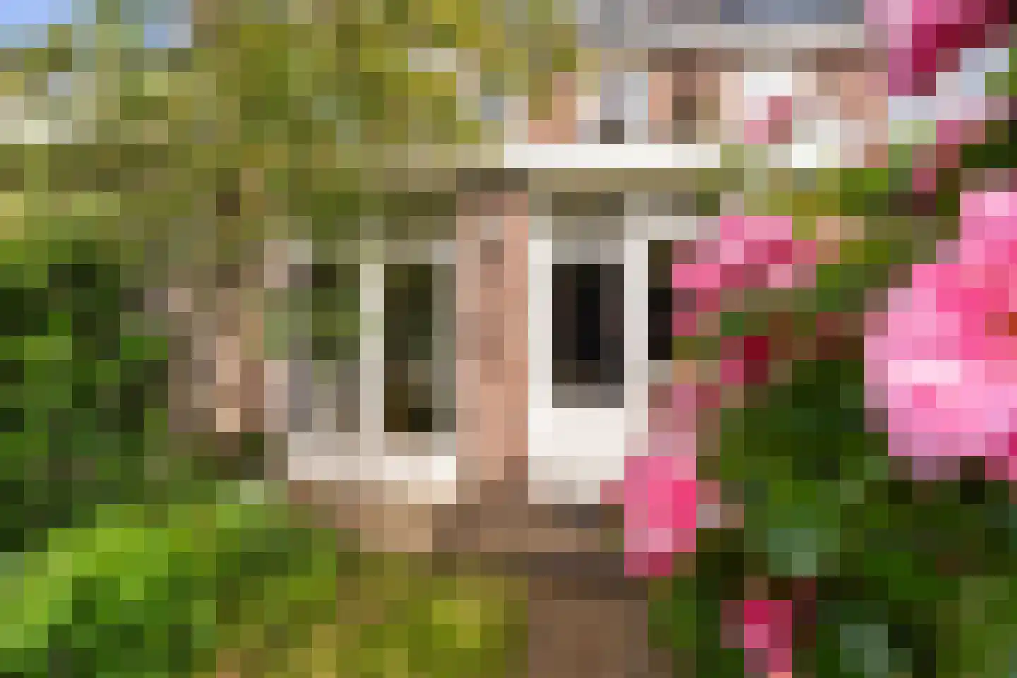 Frank van Borselenlaan 21 Zeist thumbnail 38