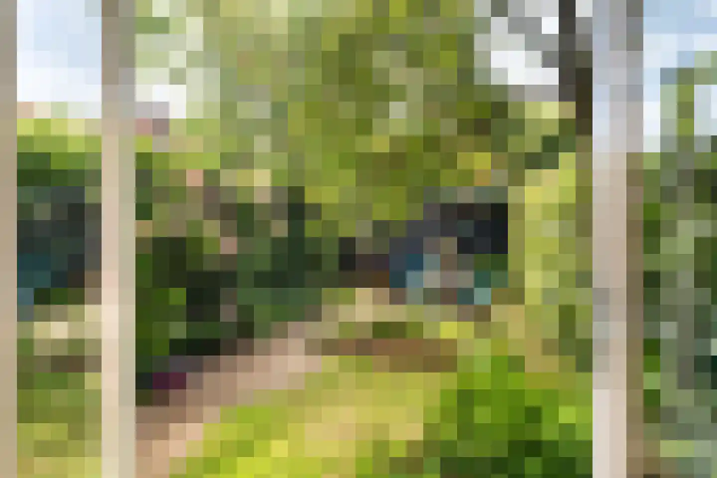 Frank van Borselenlaan 21 Zeist thumbnail 4