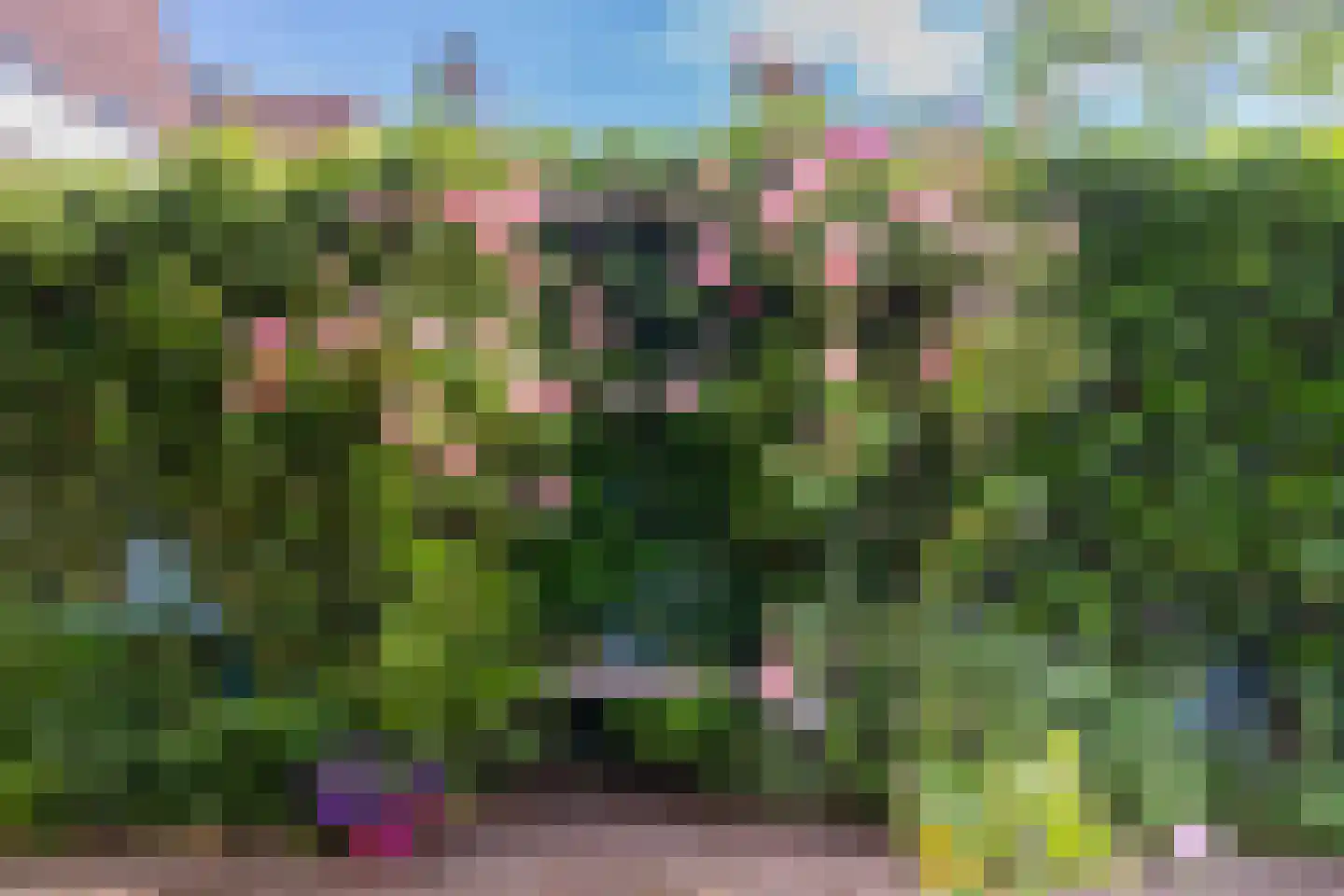 Frank van Borselenlaan 21 Zeist thumbnail 47