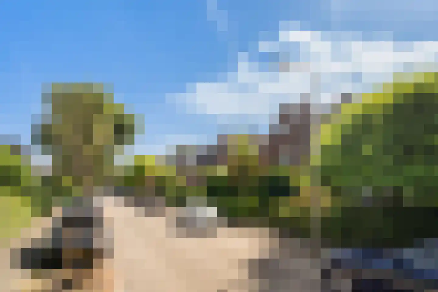 Frank van Borselenlaan 21 Zeist thumbnail 50