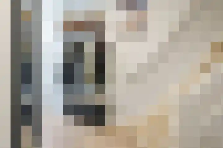 Frank van Borselenlaan 29 Zeist thumbnail 12