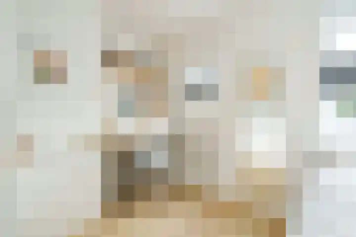 Frank van Borselenlaan 29 Zeist thumbnail 14