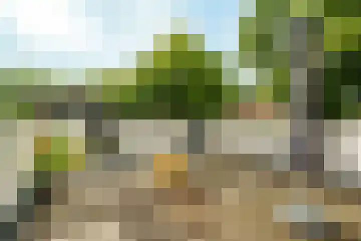 Frank van Borselenlaan 29 Zeist thumbnail 20