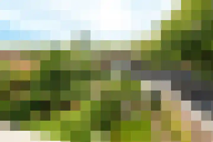 Frank van Borselenlaan 29 Zeist thumbnail 21