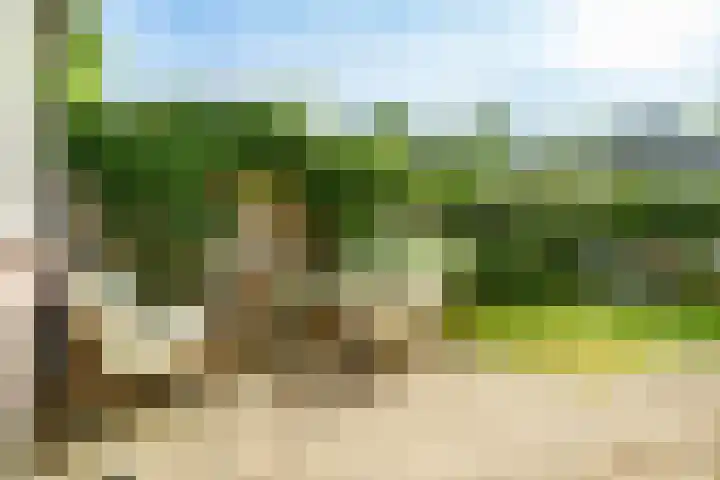 Frank van Borselenlaan 29 Zeist thumbnail 22
