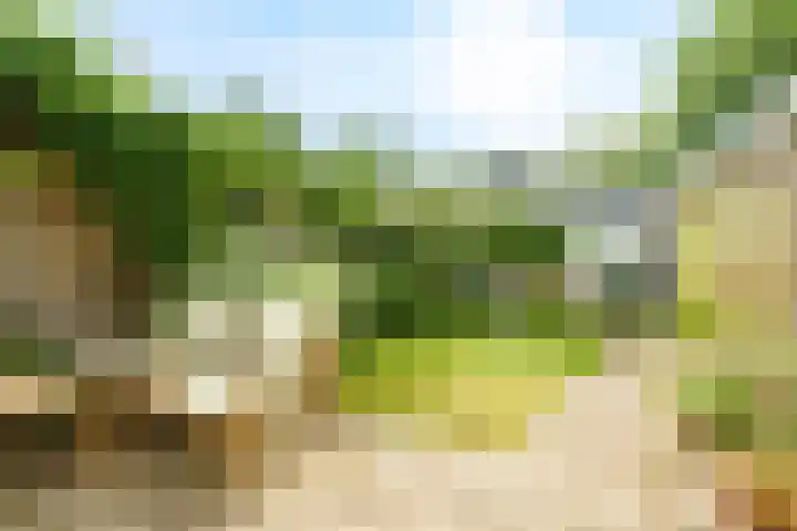 Frank van Borselenlaan 29 Zeist thumbnail 23
