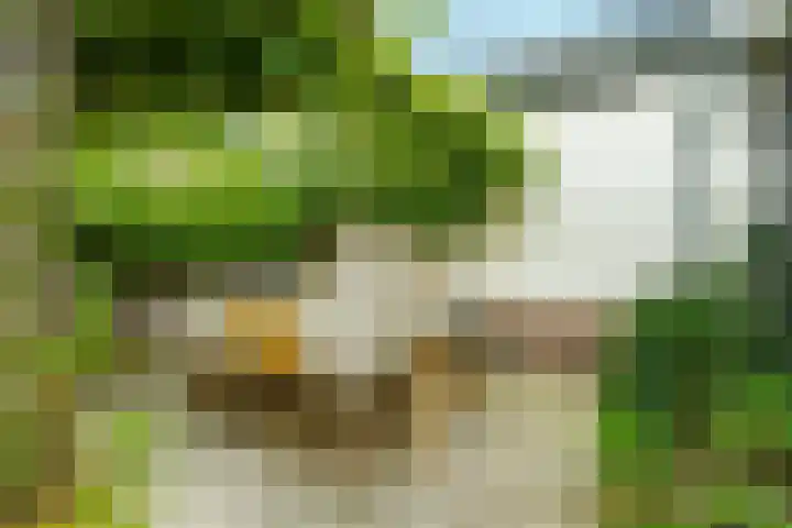 Frank van Borselenlaan 29 Zeist thumbnail 24