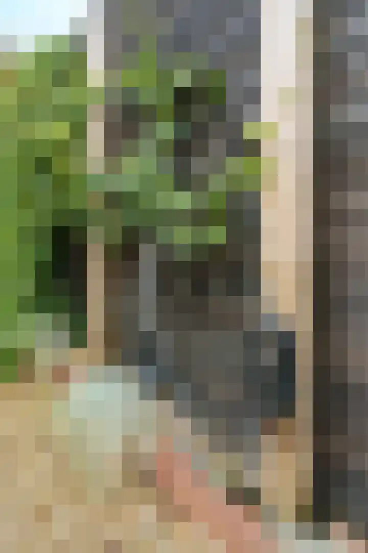 Frank van Borselenlaan 29 Zeist thumbnail 26
