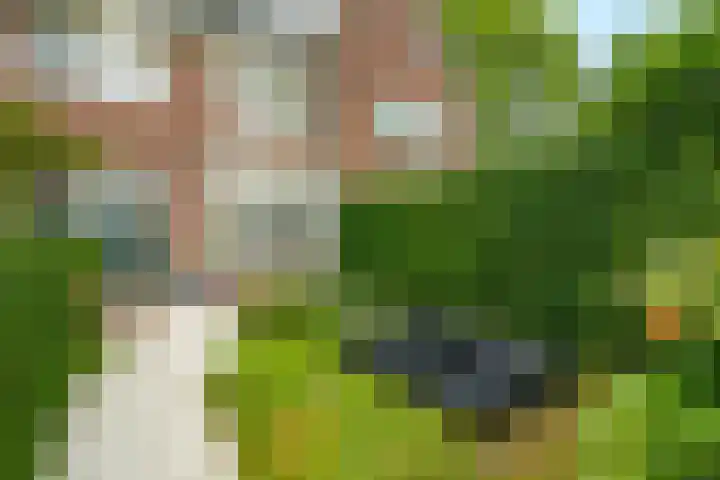 Frank van Borselenlaan 29 Zeist thumbnail 28