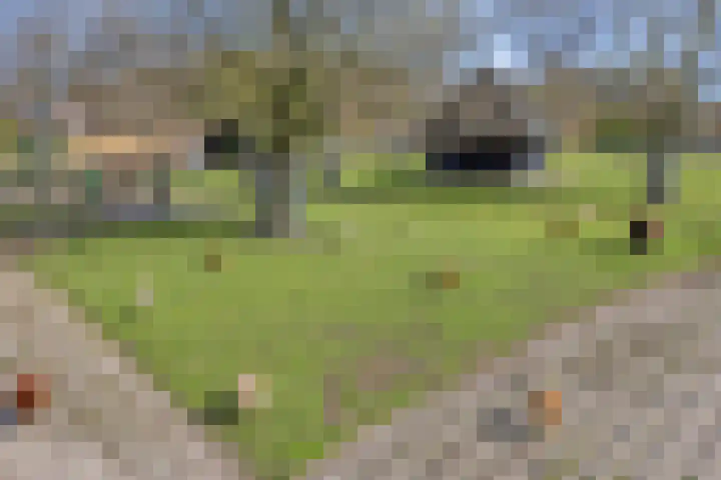 Frank van Borselenstraat 1 B Vlaardingen thumbnail 23